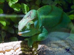 Haus des Meeres 4.02.2026